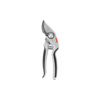 10250-head