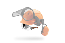 PE SCHUTZBRILLE SP 001