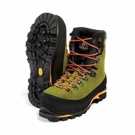 alpin gtx