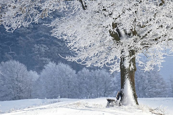 winter 4680354  480