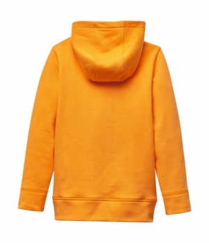 9665-head